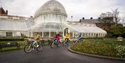 Guided bike tour passing Botanic Gardens Palm House in Belfast