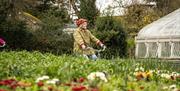 Botanic Gardens is a beautiful stop on the Belfast City Bike Tour