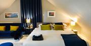 open plan living and bedroom space