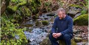 forest bathing