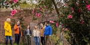 Guided tour looking at pink flowers in the walled garden. Brook Hall Estate & Gardens, Derry~Londonderry.