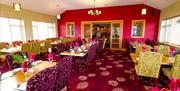 Dining area within Curran Court Hotel restaurant with a purple and pink decor.