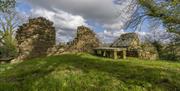 Ruins of Old Bovevagh Church