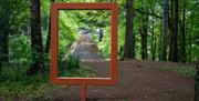 Frame at Garvagh Forest