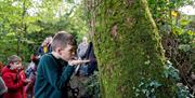 Gruffalo & Stickman Trail - Colin Glen, River Entrance