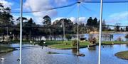 Castle-Espie-Photo-1