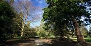 Photo of walkway through leafy Castle Park