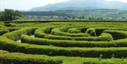 Castlewellan Maze