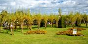 Bangor Castle Walled Garden
