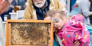 Bee keeper and man and child looking at Bees and Honey