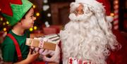 christmas fermanagh fun farm
