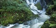 Crawfordsburn waterfall