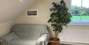 Image shows large comfy chair beside window with radiator below plus tall indoor plant