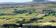 An Irish countryside view with sheep and a mountain.