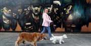 A lady walking her two dogs into Hickson's Point