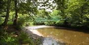 A long green footbridge over a large river in a forest.