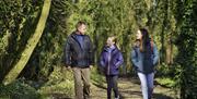 A family walk along a woodland path at Ballyronan Wood.