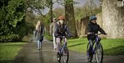 Children on bikes with parents walking behind