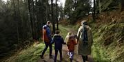 Family Walking through a forest