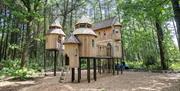 A large wooden structure that looks like a castle but doubles up as a childrens play structure in the middle of the forest