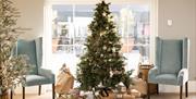 Christmas Tree in Hotel Lobby with presents laid at the base of the tree