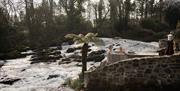 Riverside Bathing at Galgorm