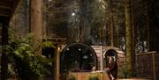 Forest Dens at Galgorm