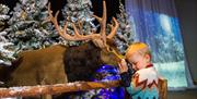 Little boy with Reindeer