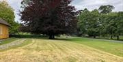 Gardens at Derrymore House