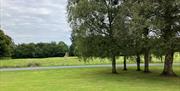 View of drive way and trees from Derrymore House