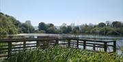 A view of a fishing pier at Donaghaguy Waterworks