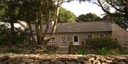 A country cottage behind a stone wall with a tree.