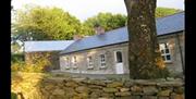 A cottage with a stone wall and a large tree.