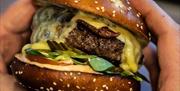 Burger with cheese in hands