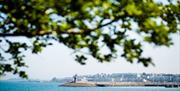 A photo from a distance showing Eisenhower Pier on a sunny day, framed by a leafy tree branch