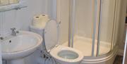 Shows image of bathroom shower, sink and toilet
