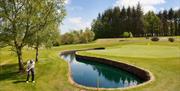 Golfer hitting a ball over a small lake