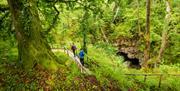 Guided Walk Fermanagh