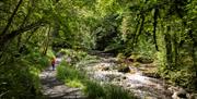 Events at Marble Arch Caves