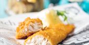 Fish City's award-winning fish and chips, made with Marine Stewardship Council-certified sustainable cod or haddock.