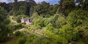 Rose cottage gardens