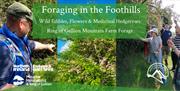 Foraging in the Foothills Banner