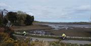 Electric Picnic Bike Tour of Strangford Lough