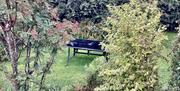 table in  landscaped garden of bushes and plants