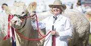 Smiling exhibitor shows off her award winning cow.