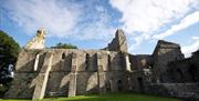 Grey Abbey ruins