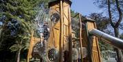 Woodland themed playpark in Hillsborough Forest
