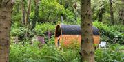 Sauna in the woods of Inch Schoolhouse - Event Villa