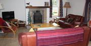 Living room with wood burning stove, tv and sofas