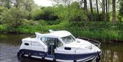 image of small cruise boat in water with river bank in the background.